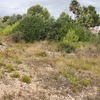Licencias De Obra
