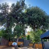 Otros Trabajos De Jardinería