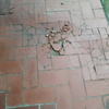 Poner Hormigón Impreso