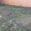 Hacer puesta a punto de jardín