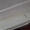 Fumigación o Desinsectación