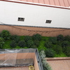 Mantener Jardín