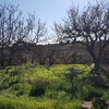 Otros Trabajos De Jardinería