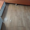 Poner Parquet o Tarima Vivienda (Parcial)