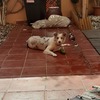 Cambiar Carpintería Madera