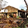 Reforma Integral Tejado Casa (Unifamiliar)