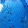 Revestir Piscina con Otros Materiales