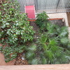 Diseñar Jardín