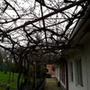 Otros Trabajos De Jardinería