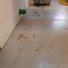 Revestir con Microcemento Vivienda
