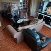 Poner Parquet o Tarima Vivienda (Parcial)