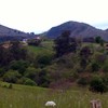 Medir Finca