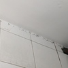 Fumigación o Desinsectación