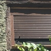 Fumigación o Desinsectación