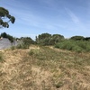 Desbrozar Jardín