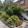 Reforma Vivienda