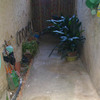 Reformar patio (alicatar las cuatro paredes y el suelo)