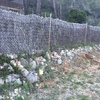 Construir Muro