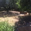 Desbrozar Jardín