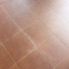 Limpieza Vivienda (1 vez)