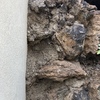 Proyecto nueva construcción