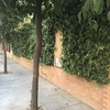Mantener Jardín