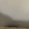 Pintar Interior De Vivienda