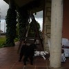 Acristalamiento Porche