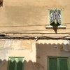 Rehabilitar Fachada Casa (Unifamiliar)