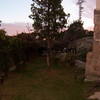 Solado jardin
