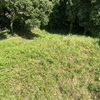 Diseñar Jardín