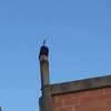 Otros Trabajos De Chimeneas