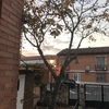 Otros Trabajos De Jardinería
