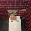 Pequeños Trabajos Fontanería