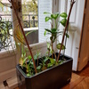 Mnto plantas de oficina