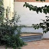Limpieza, arreglo y posterior mantenimiento de pequeño jardín comunitario