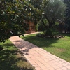 Eliminar al máximo la zona de césped del jardín para reducir consumo agua