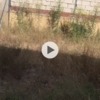 Otros Trabajos De Jardinería