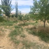 Desbrozar Jardín