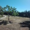 Diseñar Jardín