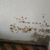 Hacer Aislamiento Térmico Parcial