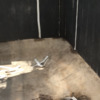 Revestir Piscina con Otros Materiales