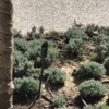 Diseñar Jardín