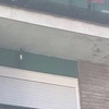 Pintr techo terraza