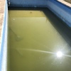 Alicatar Piscina