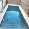 Limpieza puntual de piscina