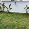 Hacer puesta a punto de jardín