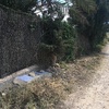 Instalar Cercados de malla o similar