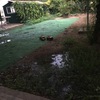 Poner Hormigón Impreso
