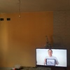 Papel Pintado